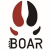 Boar Energy