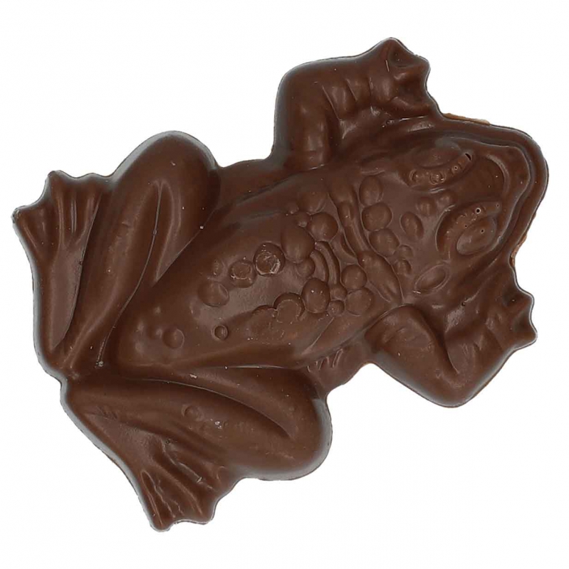 Harry Potter Chocolate Frog 15g 