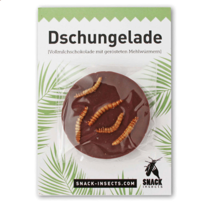  Snack-Insects Dschungelade Vollmilchtaler mit gerösteten Mehlwürmern 10g 