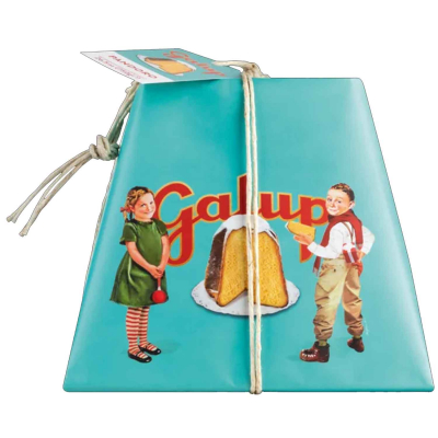  Galup Pandoro Tradizionale 750g 