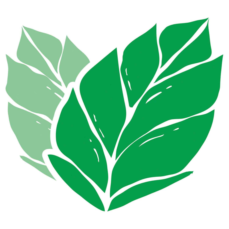  tic tac Fresh Mint 54g 