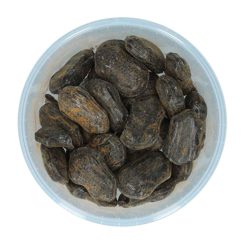  Evers Pulverpadder 180g 