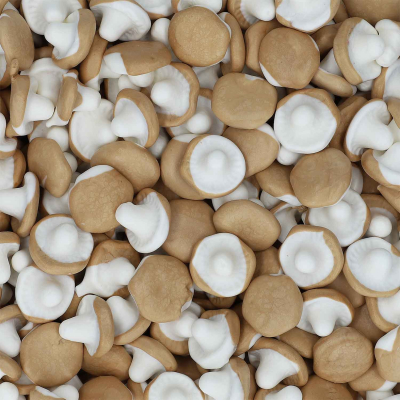  Nordthy Skum Svampe Karamel 800g 