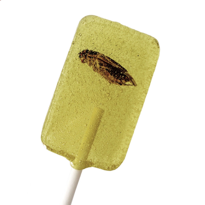  Snack-Insects Lolli Grille 20g 
